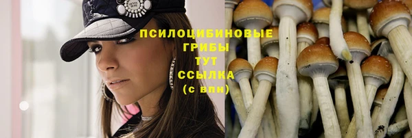 mix Абинск