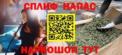 МДПВ Пенза
