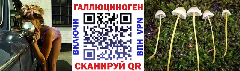 Галлюциногенные грибы GOLDEN TEACHER Орск