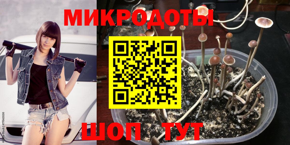 Псилоцибиновые грибы MAGIC MUSHROOMS Орск