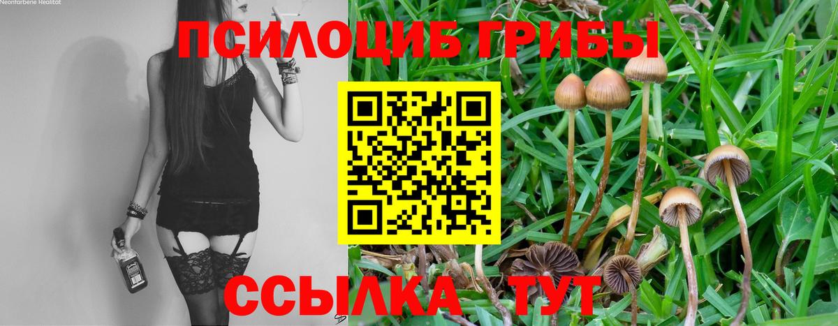 Галлюциногенные грибы GOLDEN TEACHER  Вход с VPN  Орск 