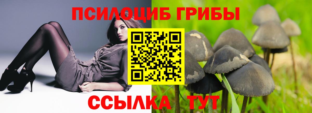 Псилоцибиновые грибы ЛСД Орск